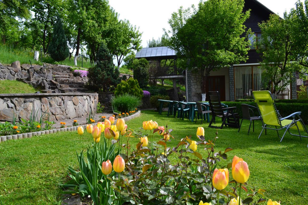 Casa Bota Hotel Viseu de Sus Bagian luar foto