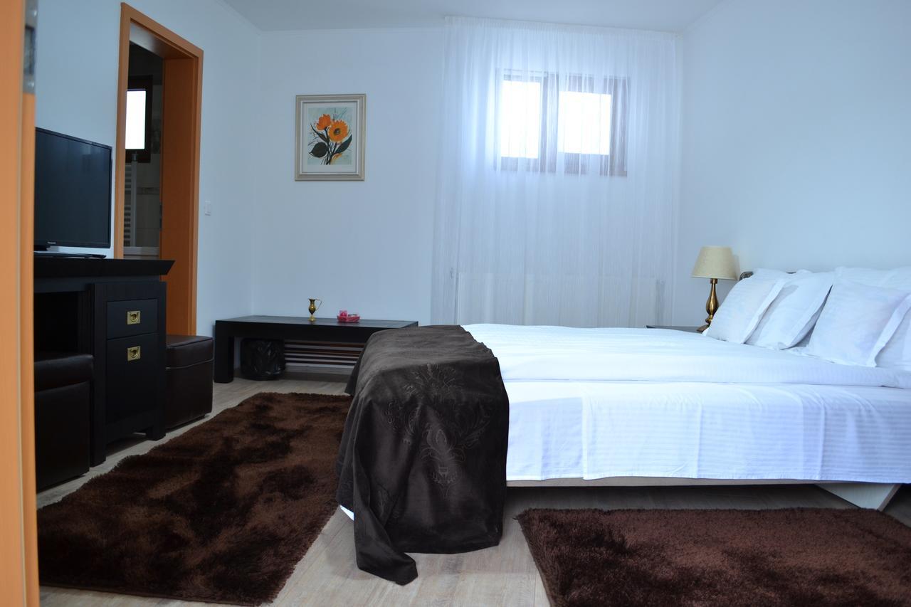 Casa Bota Hotel Viseu de Sus Bagian luar foto
