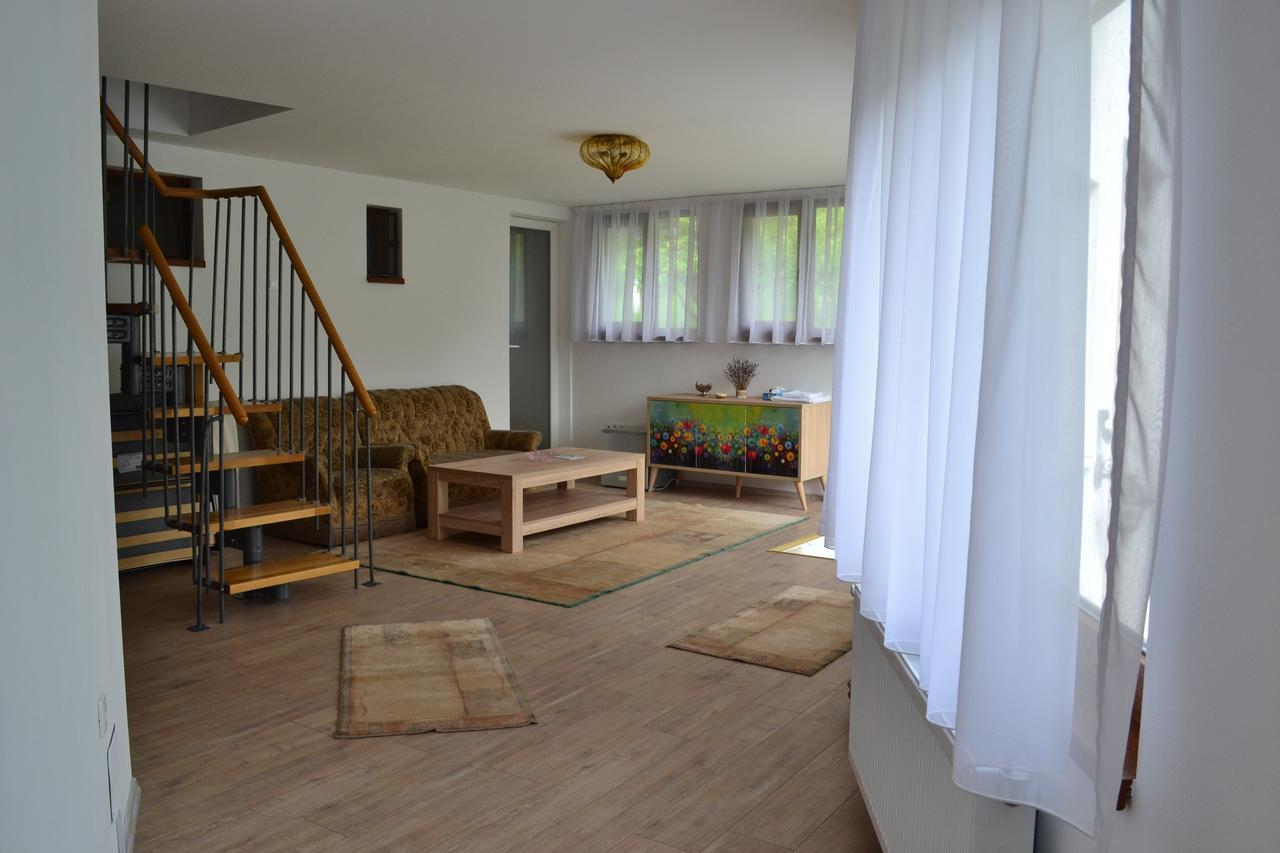 Casa Bota Hotel Viseu de Sus Bagian luar foto