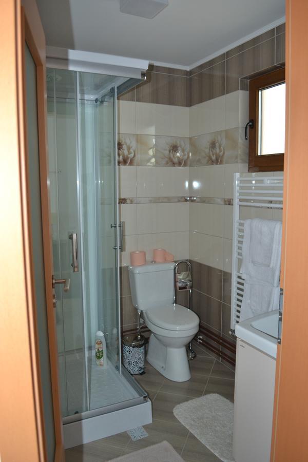 Casa Bota Hotel Viseu de Sus Bagian luar foto