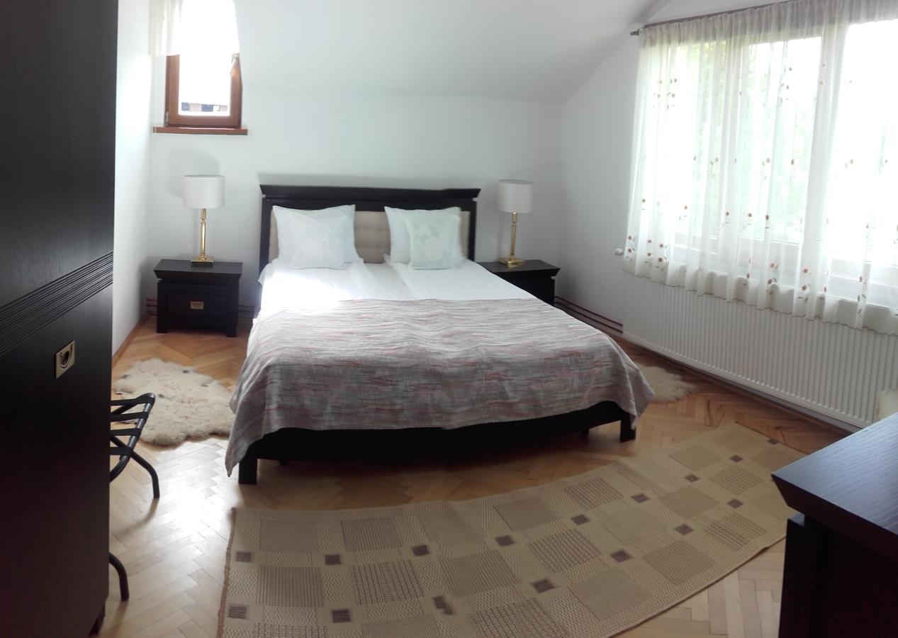 Casa Bota Hotel Viseu de Sus Bagian luar foto