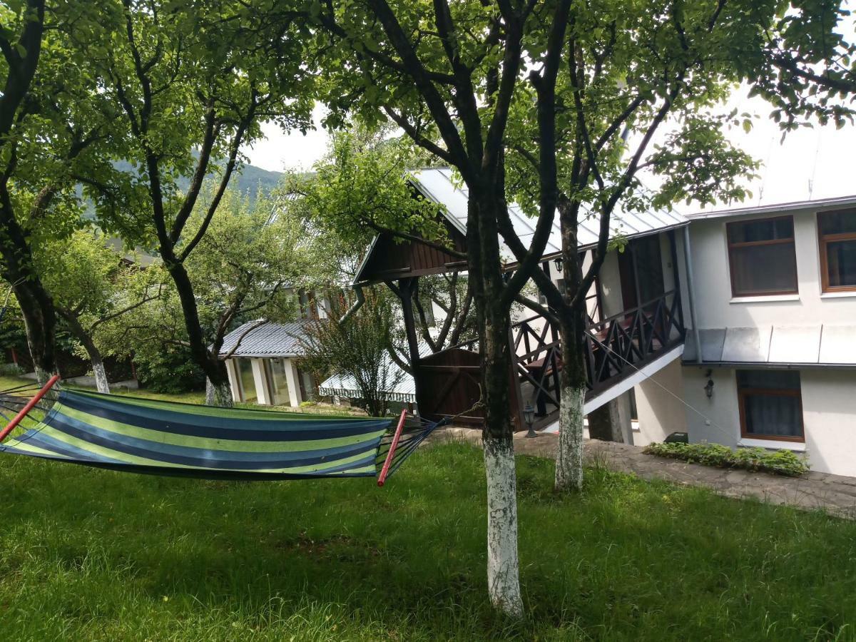 Casa Bota Hotel Viseu de Sus Bagian luar foto